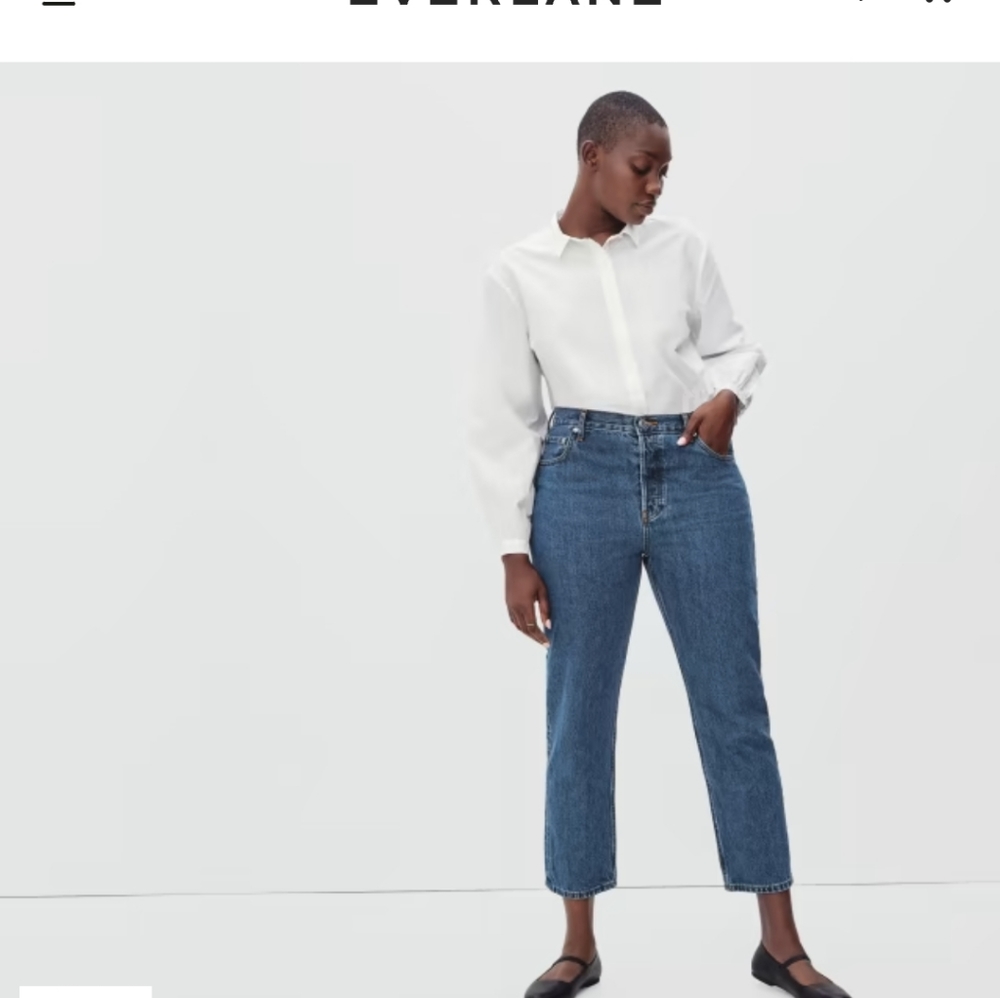 NWT everlane curvy 90s cheeky jean